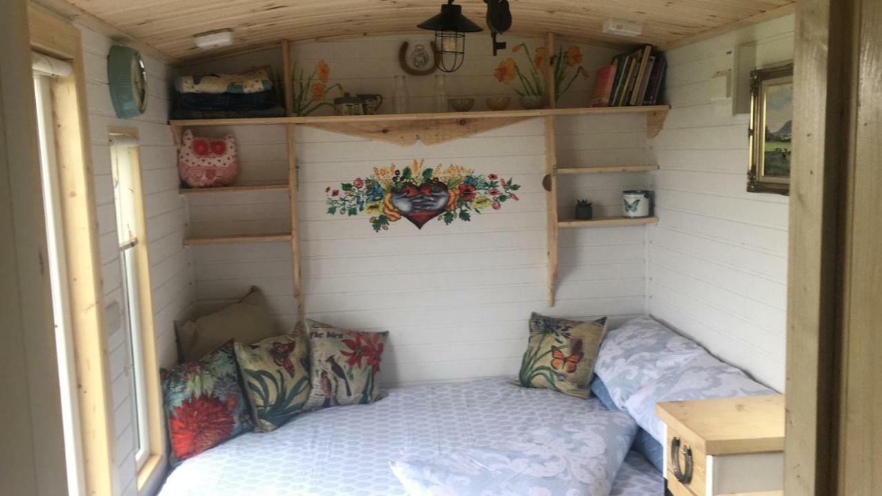 Clydesdale Shepherds Hut Belfast Exterior foto
